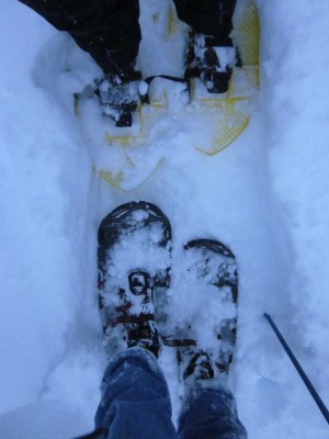 snowshoes in the snow