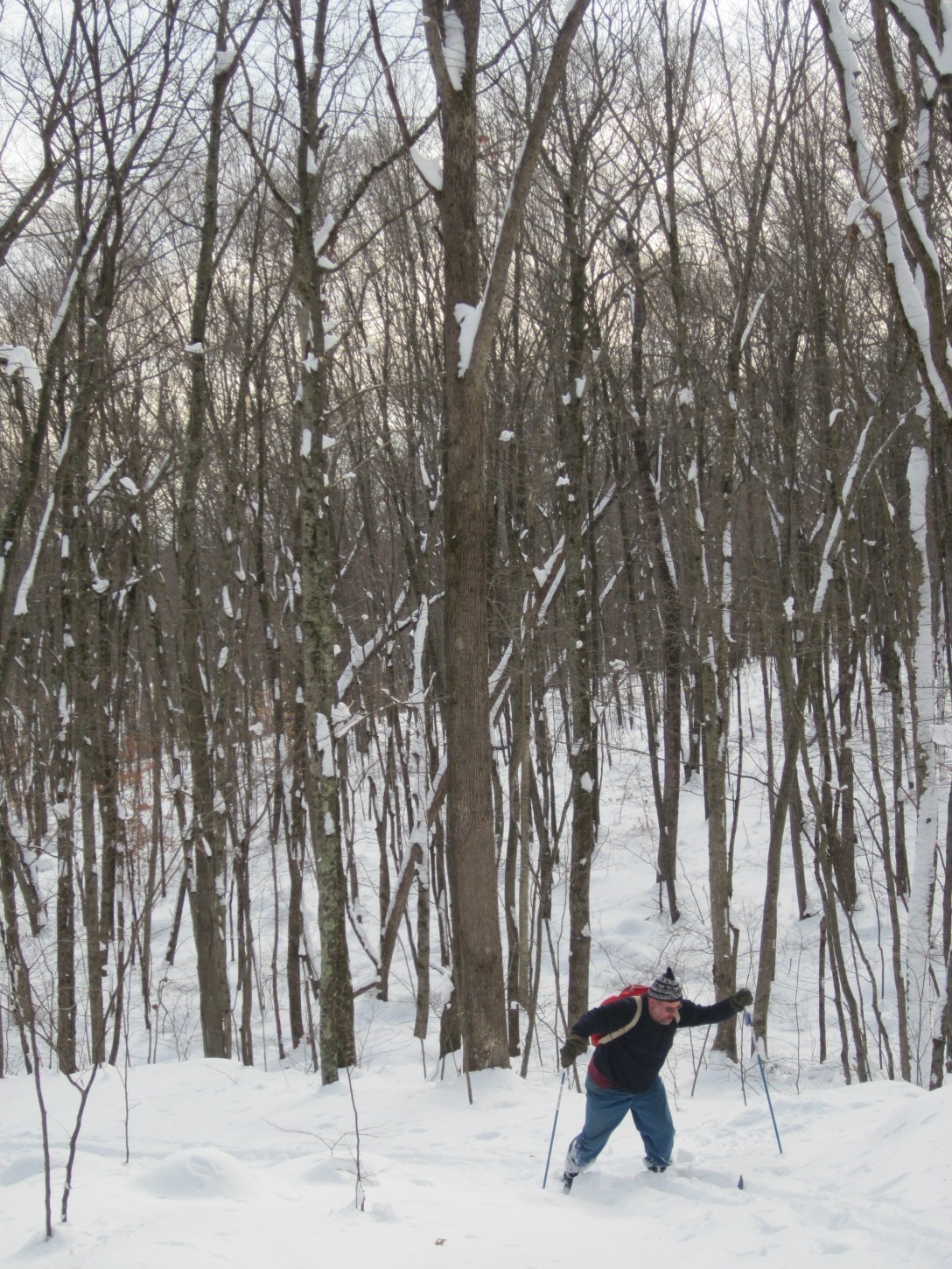 cross country skiing in CT