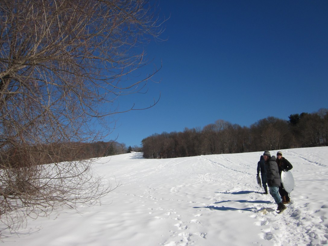 Sledding in Wickham park