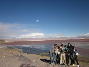 Colored Lagoon, Bolivia desert. Laguna Colorada