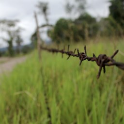 more reflections on generalizations