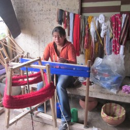 Social Roles and Relationships of Power