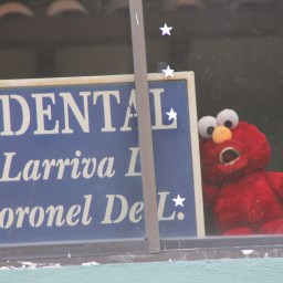 Tickle Me Elmo’s forgotten cousin….Gingivitis Elmo