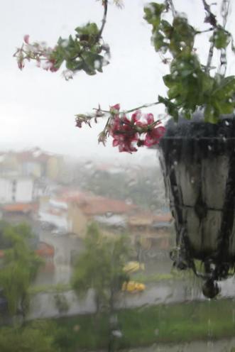 rain rolling down the window in Cuenca