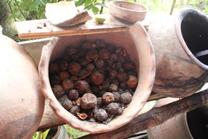 walnut shell natural dyes