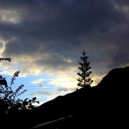 the Life in the darkness