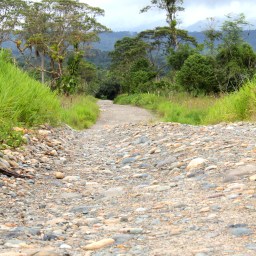 A Thank you letter to God