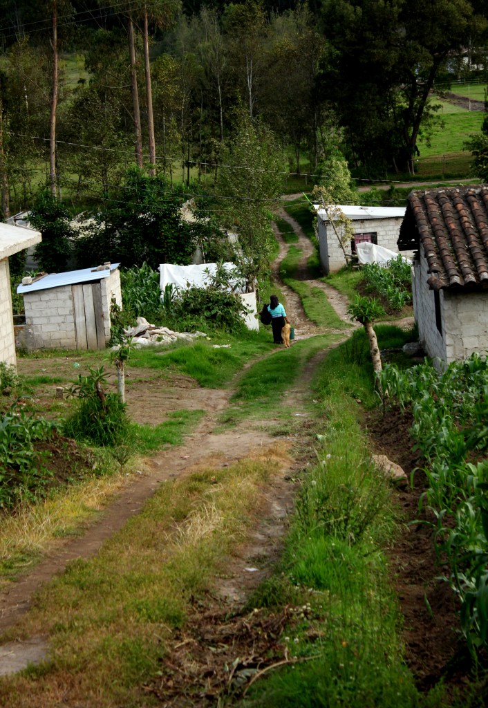 the road down from Tamia's house