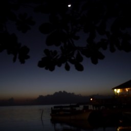 You belong in my box of old memories