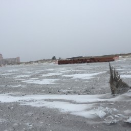 snow storm on a winter beach